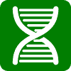 MgmtDNA